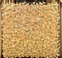 Flower Walls – Image 3