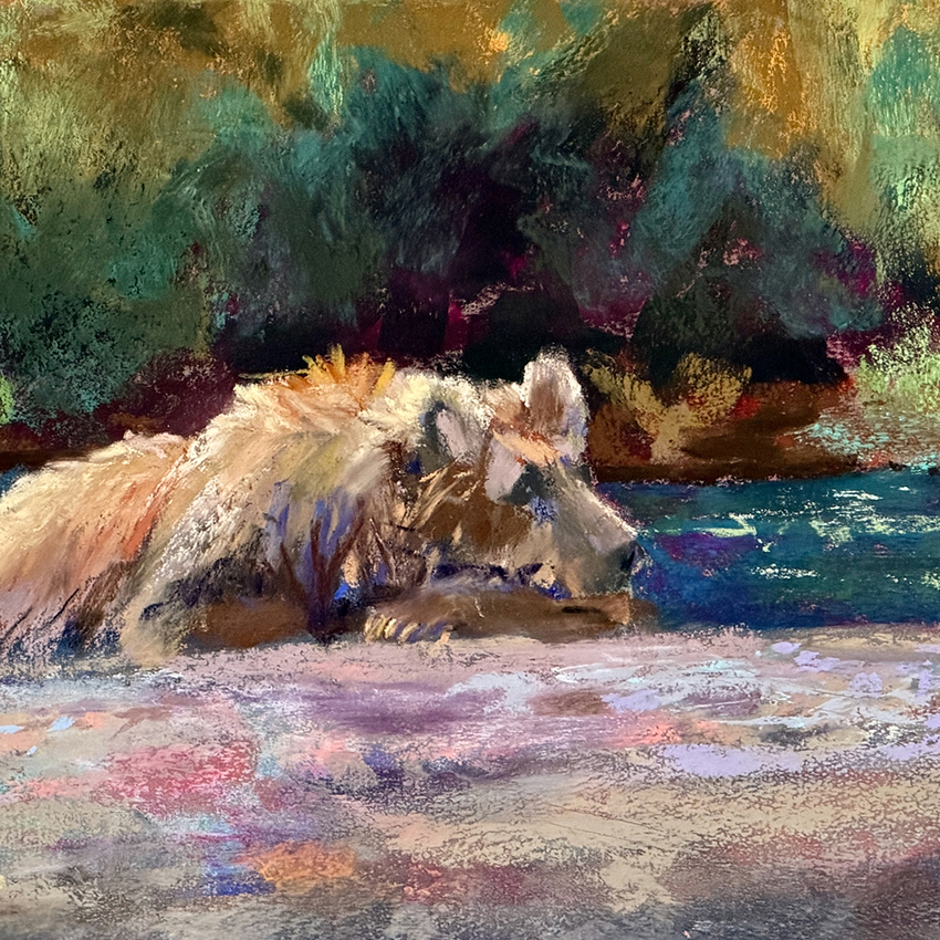 "Bearly" Awake – Image 2