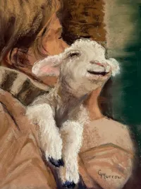 Achara (Irish for Friend) – Image 1