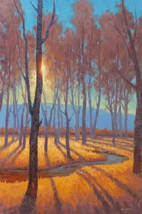 Afternoon Shadows – Image 1
