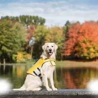 GF Pet Dog Life Vest Рятувальний жилет для собак – Image 1