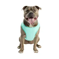 GF Pet Ice Vest Охолоджувальний жилет для собак – L