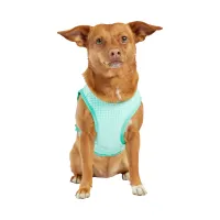 GF Pet Ice Vest Охолоджувальний жилет для собак – Image 9