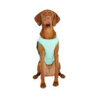 GF Pet Ice Vest Охолоджувальний жилет для собак – XXL