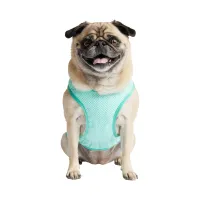 GF Pet Ice Vest Охолоджувальний жилет для собак – Image 8