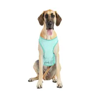 GF Pet Ice Vest Охолоджувальний жилет для собак – Image 7