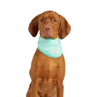 GF Pet Oхолоджувальна бандана для собак | Ice Band® – Image 6