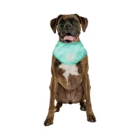 GF Pet Oхолоджувальна бандана для собак | Ice Band® – L-XL