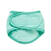 GF Pet Oхолоджувальна бандана для собак | Ice Band® – Image 2