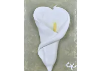 Radiant Bloom: Calla Lily on Green (9” x 12”) – Image 1