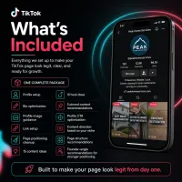 TikTok Business Setup & Buildout – Image 2