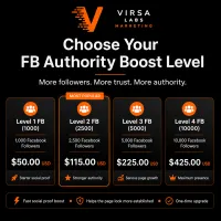 FB Followers Authority Boost – Image 3
