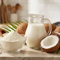Coconut Milk Powder – Image 2