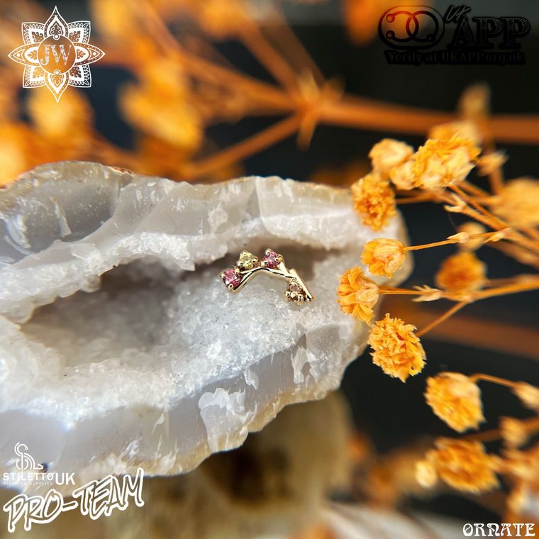 Sacred Symbols - Branch with coloured Sapphires 14k Solid Yellow Gold – Image 1