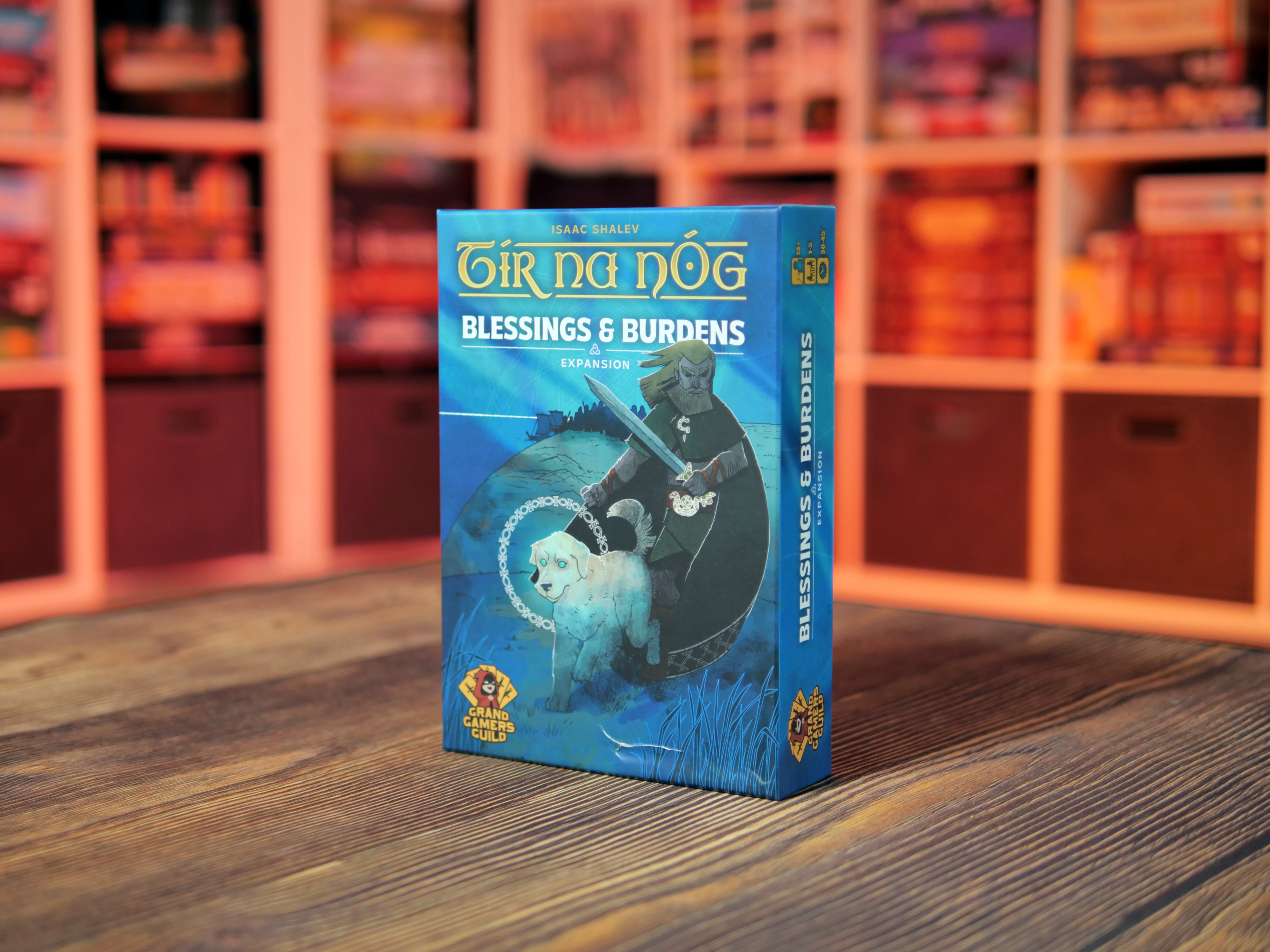 Tír na nÓg: Blessings & Burdens Expansion – Image 3