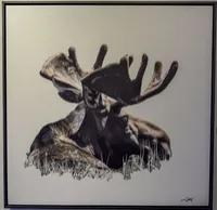 Bull-Twinkle – Image 1