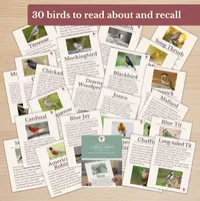 Garden Birds – Printable Dementia Reading Activity – Image 4