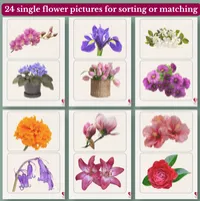 Flowers Picture Cards & Photographs – Printable Dementia Activity – Image 4