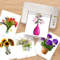 Flowers Picture Cards & Photographs – Printable Dementia Activity – Image 3