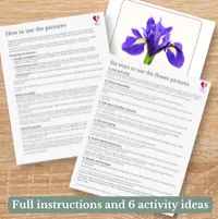 Flowers Picture Cards & Photographs – Printable Dementia Activity – Image 5