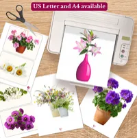 Flowers Picture Cards & Photographs – Printable Dementia Activity – Image 8