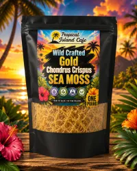 Wild Crafted Gold Sea Moss - Dry 1 lb – Image 1