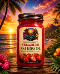 Sea Moss Gel (Strawberry) — 16 oz – Image 1