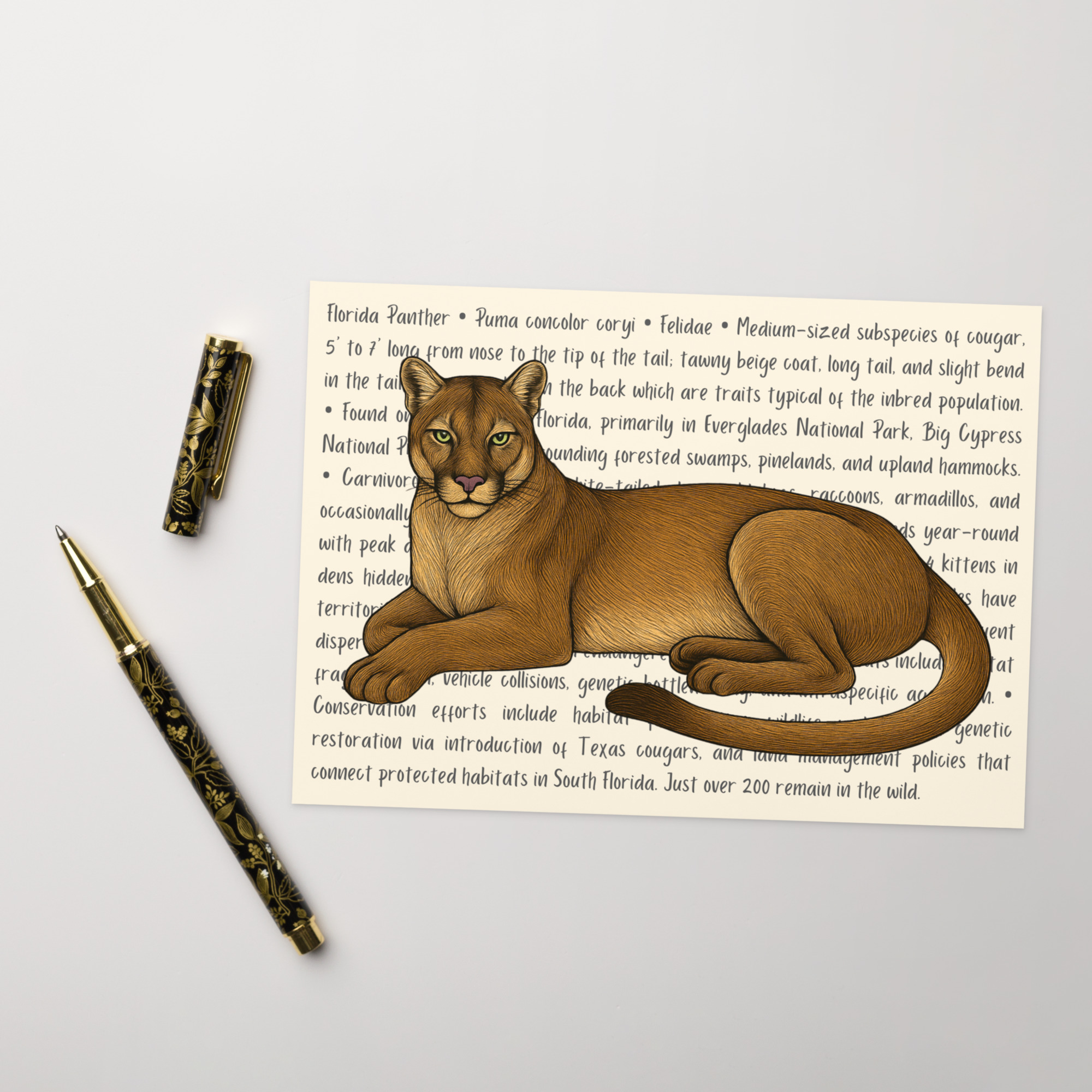 Florida Panther Greeting Card – Image 5