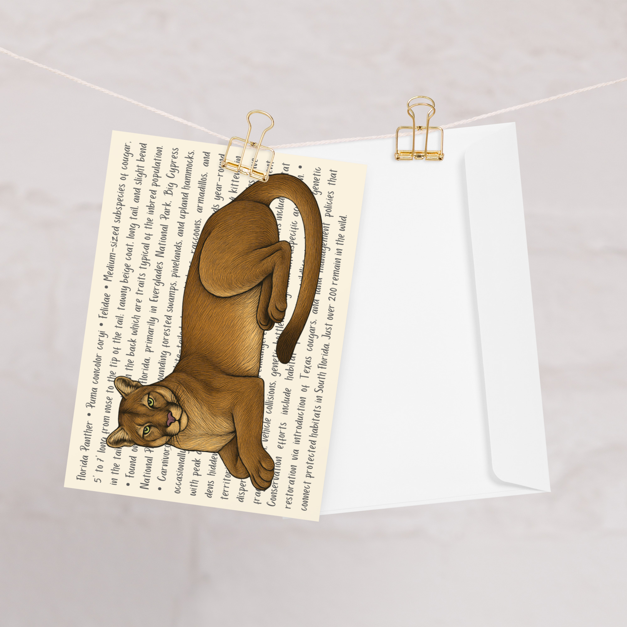 Florida Panther Greeting Card – Image 7