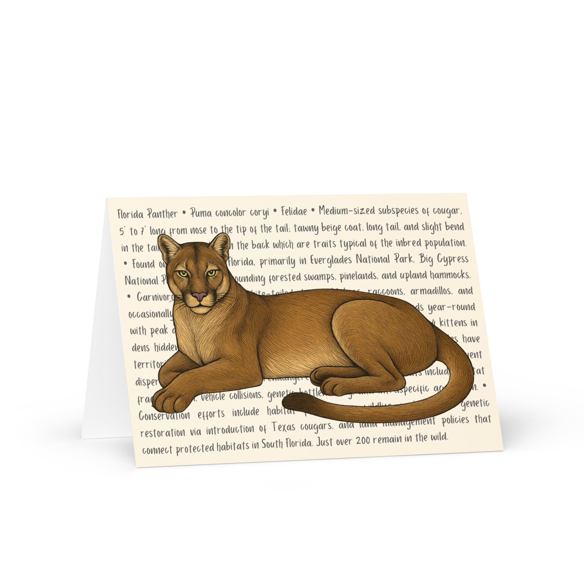 Florida Panther Greeting Card – Image 2