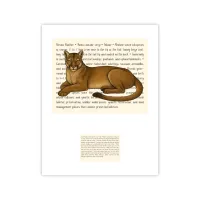 Florida Panther Signature Proof – Image 1