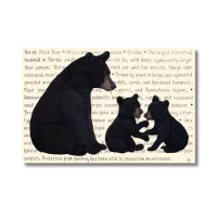 Florida Black Bear Original – Image 1