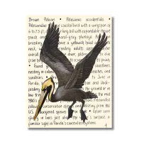 Brown Pelican Original – Image 1