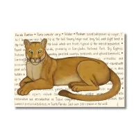 Florida Panther Original – Image 1