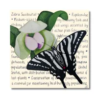 Zebra Swallowtail Original – Image 1