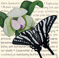 Zebra Swallowtail Original – Image 3