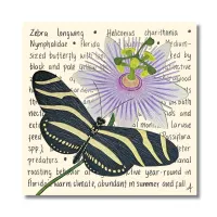 Zebra Longwing Original – Image 1