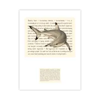 Blacktip Shark Signature Proof – Image 1