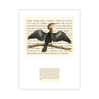 Anhinga Signature Proof – Image 1