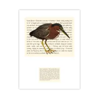 Green Heron Signature Proof – Image 1