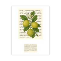Key Lime Signature Proof – Image 1