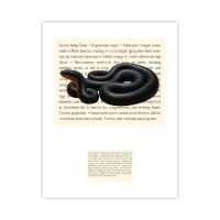 Eastern Indigo Snake Live Wildly Signature Proof – Image 1