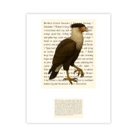 Northern Crested Caracara Signature Proof – Image 1