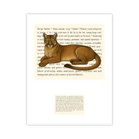 Florida Panther Live Wildly Signature Proof – Image 1
