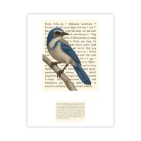 Florida Scrub-Jay Live Wildly Signature Proof – Image 1
