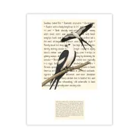 Swallow-tailed Kites Signature Proof – Image 1