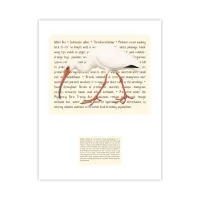 White Ibis Signature Proof – Image 1
