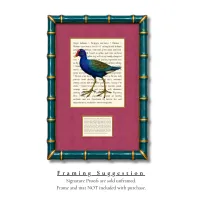 Purple Gallinule Signature Proof – Image 2