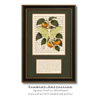 Luna Moth Signature Proof – Image 2