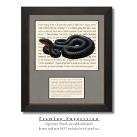 Eastern Indigo Snake Live Wildly Signature Proof – Image 2